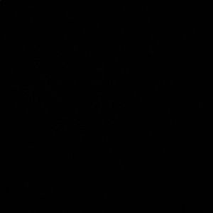 Meet your Posher, Ray